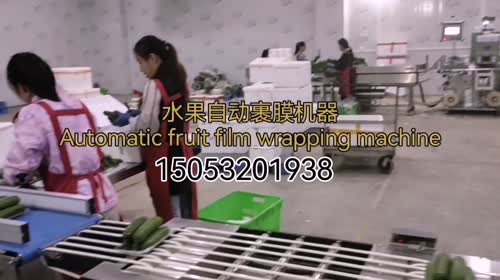 大家好，我是生鲜包装机源头工厂，主营橙子、水果玉米、小番茄、柿子、冬瓜，来自山东