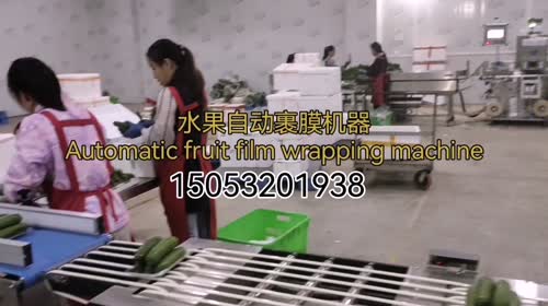 15O532O1938保鲜膜包装机
Cling Film Packaging M