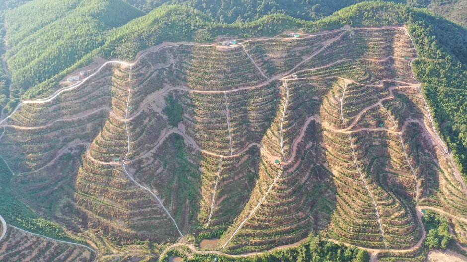 信丰高山富硒脐橙种植示范基地