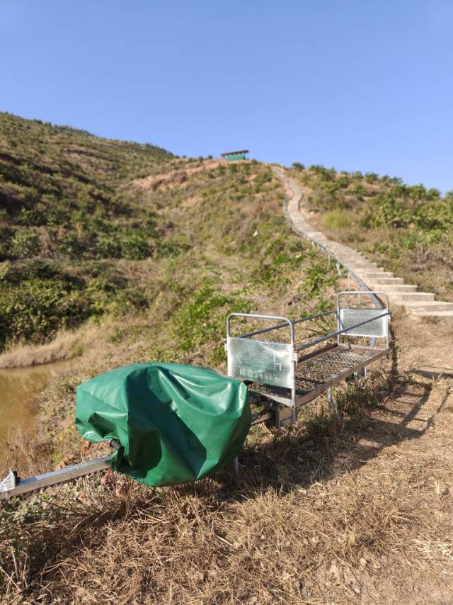 高山脐带，自然天成
《信丰油山林场-高山富硒脐橙》
信步秋岑诗兴长，高陌凝珠泛晓