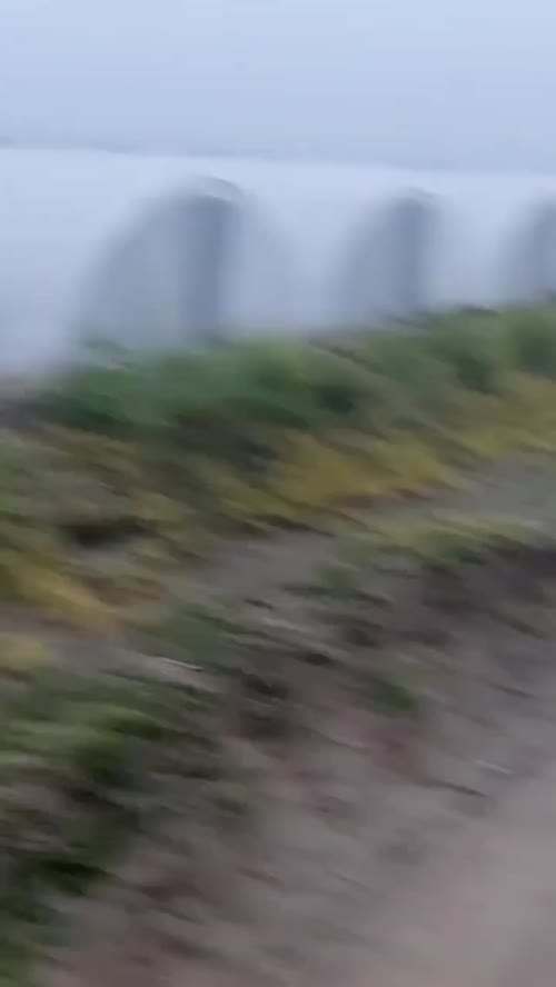 东台特小凤西瓜🍉 大量现货，产地直供！
正宗东台黄瓤小凤，皮薄如纸、金黄果肉、脆