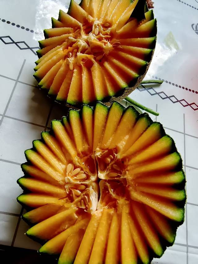 【供货水果】本人常年代收代发各种甜瓜哈密瓜，本地有羊角蜜，博洋，博洋九号，玉姑，