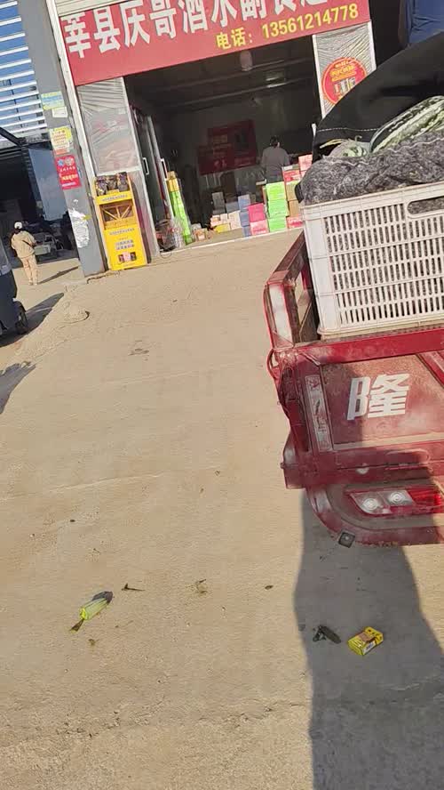 各种甜瓜大量上市中，支持全国发货，支持各种包装