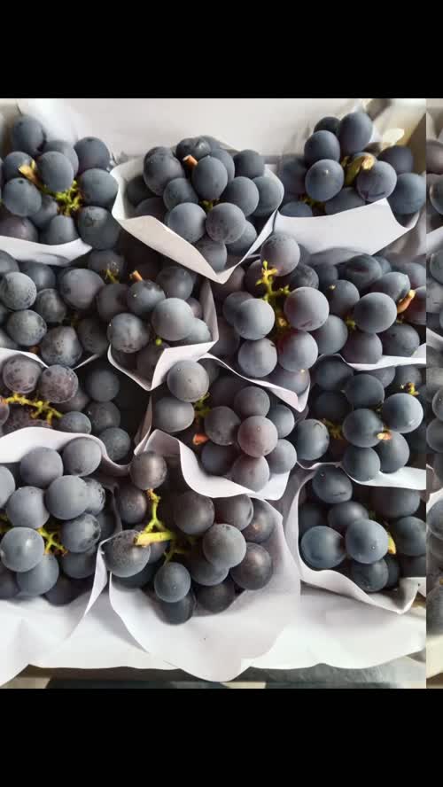 收货日常，需要的老板联系