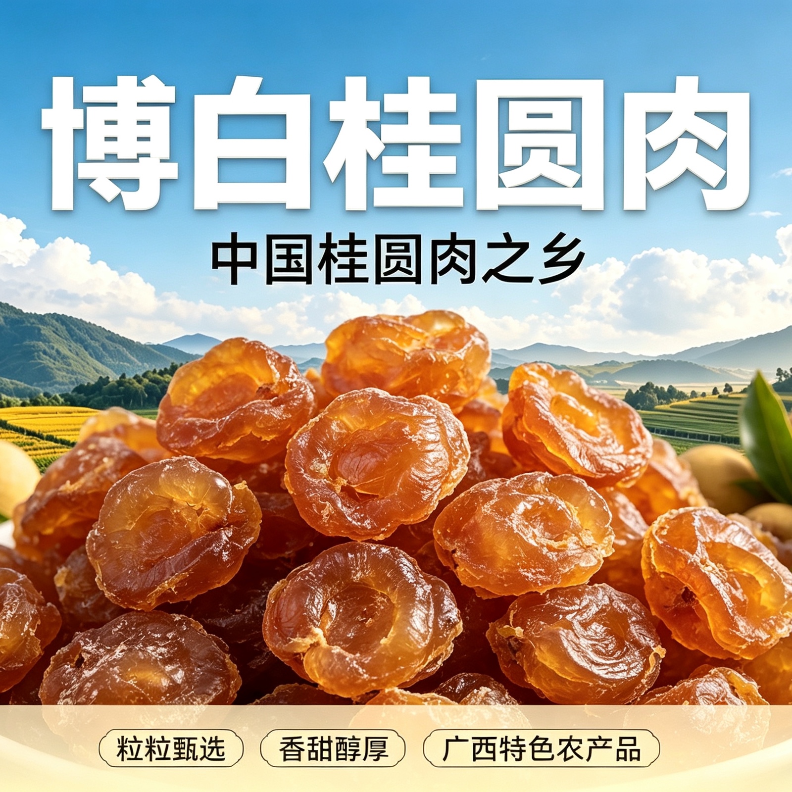 中国桂圆肉之乡-博白县