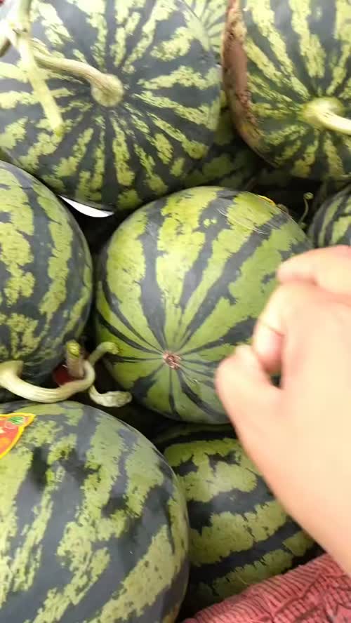 美都大量供应