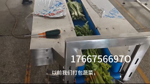 迈德龙智能蔬菜包装机 蔬菜自动装袋称重贴标 青菜包装机 商超配送中心PC加工中心