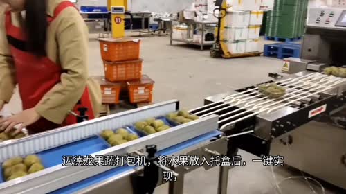 还在人工打包蔬菜慢、耗膜多？青岛迈德龙果蔬打包机来了！叶菜、根茎菜、托盒果蔬都能