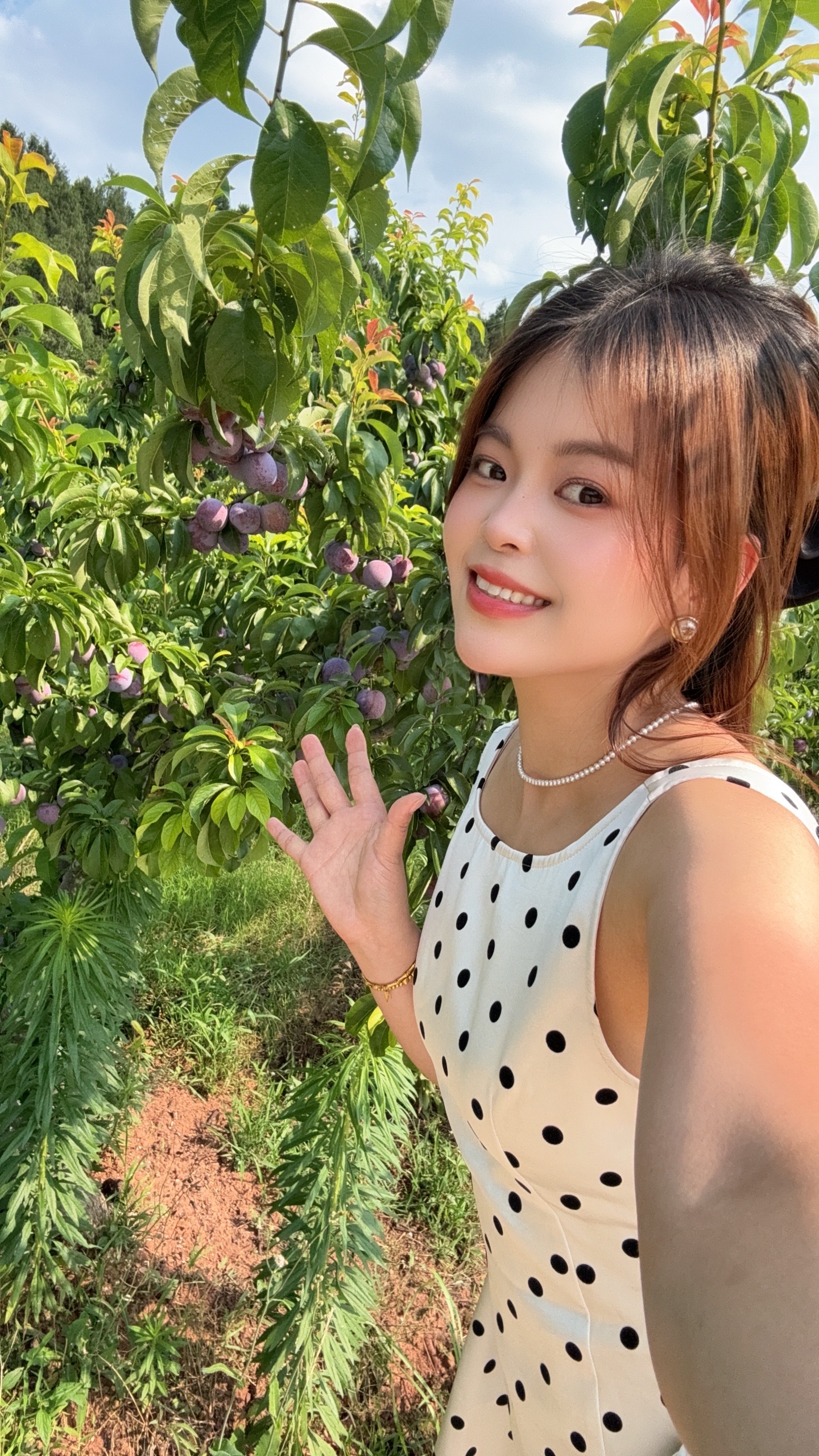 大家好，我是A 尧尧💋李子季，来自四川省内江市资中县，
我来水果名片了，期待认识