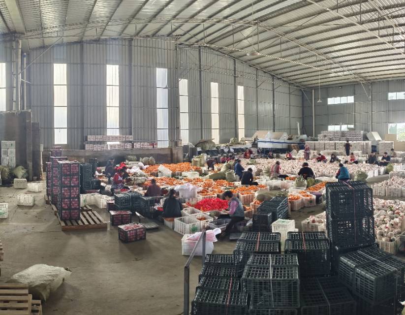大家好，我是张靖，来自四川省眉山市东坡区，经营一家7000平米的水果包装厂，希望