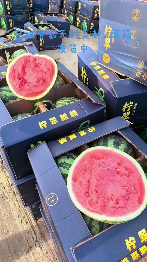 盐城产区，台农无籽美都，装箱发货，保质保量，提供售后，价格优惠，需要赶紧联系