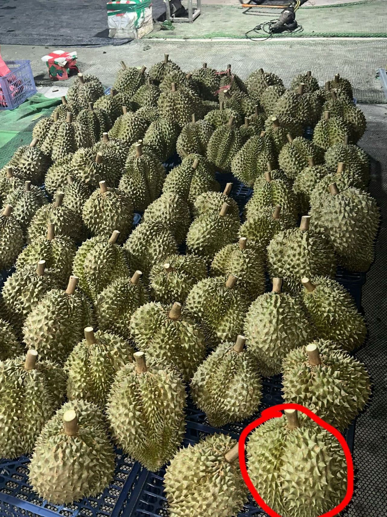 大家好，我是王海燕，来自海南省三亚市天涯区，
我来水果名片了，期待认识更多水果行
