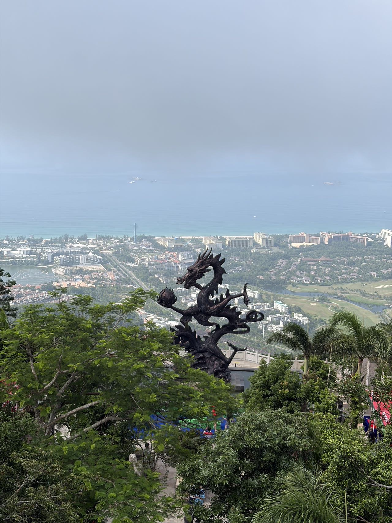 大家好，我是冀鑫龙，来自海南省三亚市吉阳区，
我来水果名片了，期待认识更多水果行