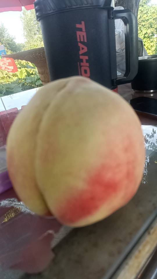 大家好，我是张永禄，来自天津市滨海新区，
我来水果名片了，期待认识更多水果行业的