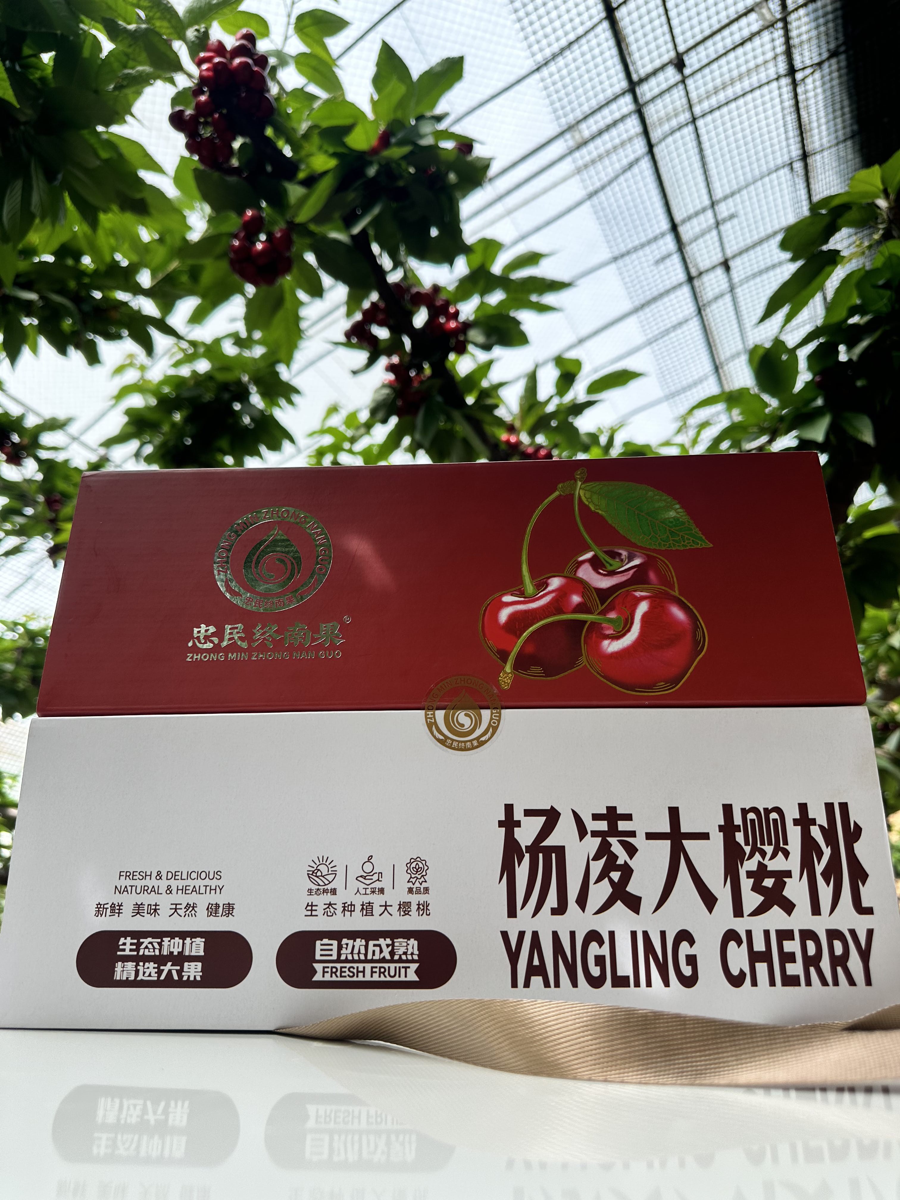 大家好，我是李大伟，来自陕西省咸阳市杨陵区，
我来水果名片了，期待认识更多水果行