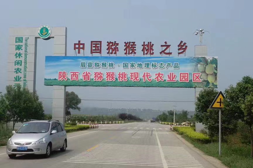 大家好，我是眉县猕猴桃，来自陕西省宝鸡市眉县，
我来水果名片了，期待认识更多水果