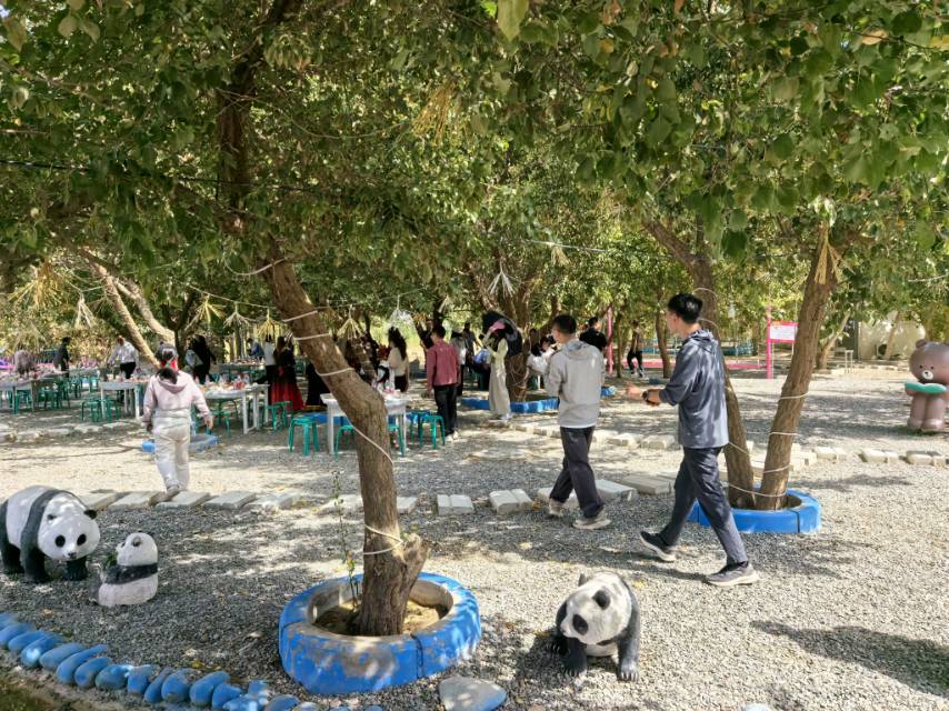 大家好，我是新用户ZYV6Y3，来自新疆维吾尔自治区和田地区皮山县，
我来水果名