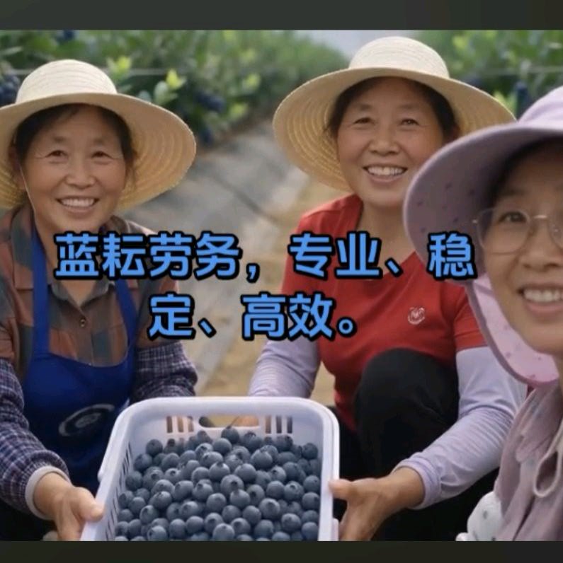 合作共赢