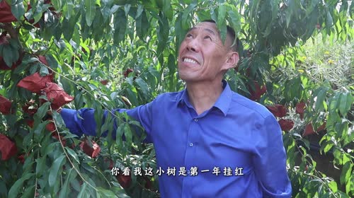 疯狂套袋