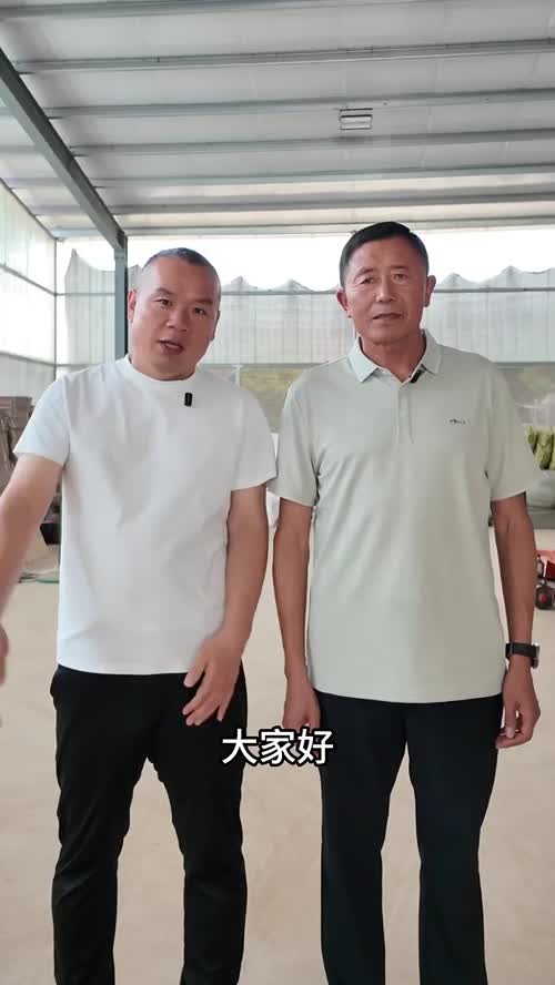 供应链企业，如何打造自己的品牌
