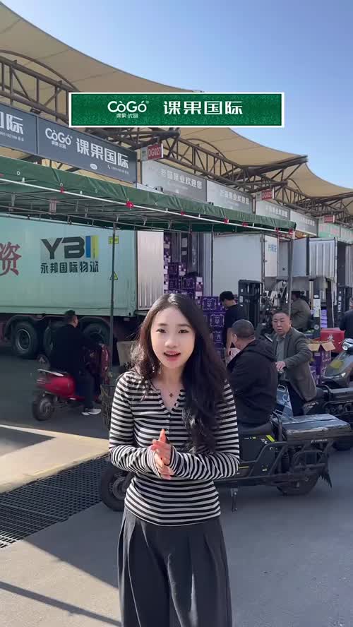 紫六牌 树熟金枕又又又开柜
泰国东部核心产区
真正的树上自然熟
品质保证 售后无