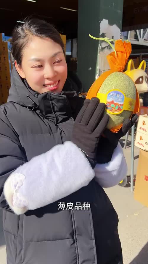 来自海南的【月牙蜜瓜】，清香脆甜，皮薄肉厚，一经到货，一致好评！#水果#哈密瓜#