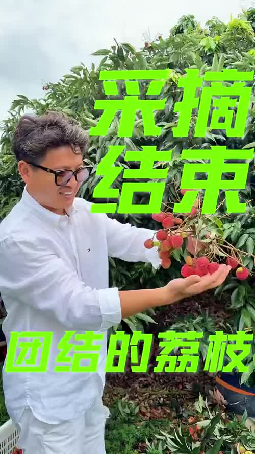 完整走完这一季荔枝，每一天都不曾缺席。