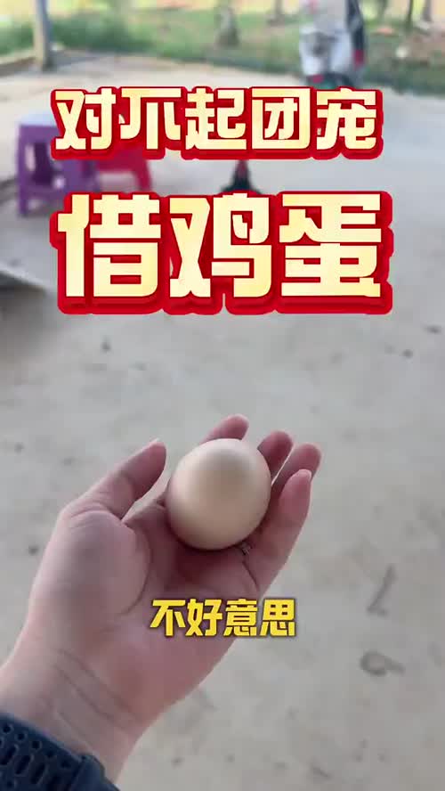 不是标题党！
我们的仙桃荔真的跟鸡蛋一样大！
这才是“大口吃荔”的正确打开方式！