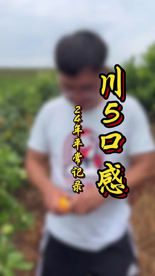视频封面