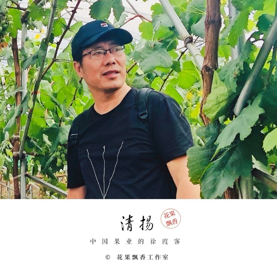 清扬老师