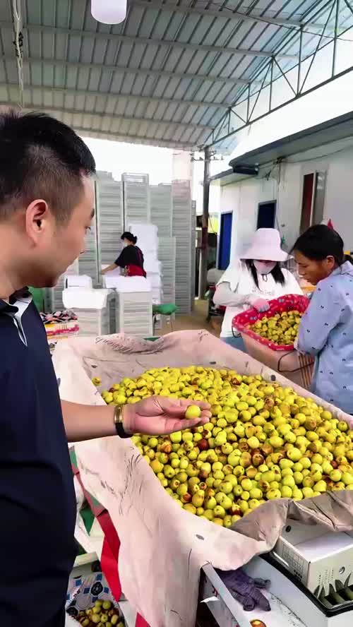 视频封面