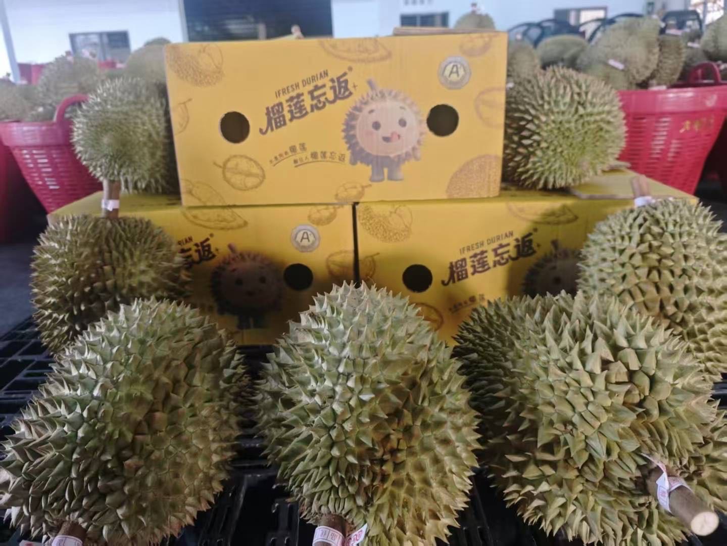 图片封面