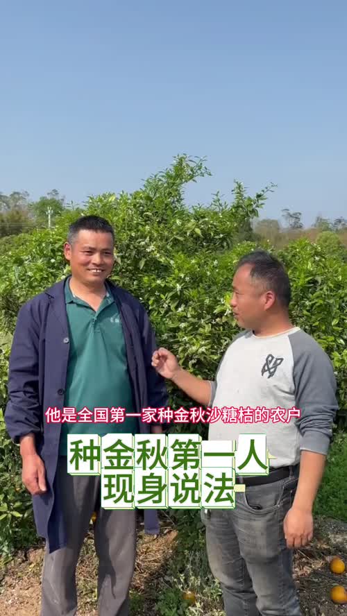 视频封面