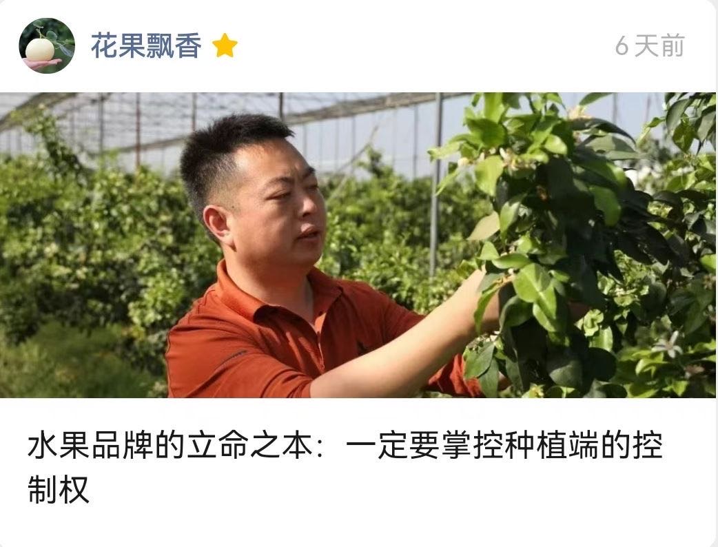 图片封面