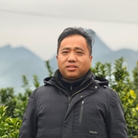 曹立教授川津5号金秋阳光
