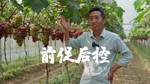 视频封面