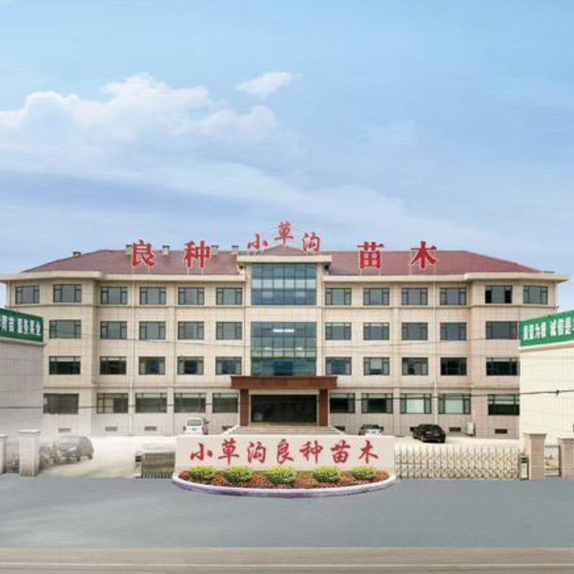小草沟苗木