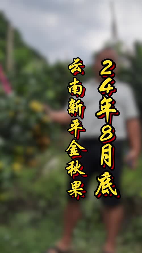 视频封面