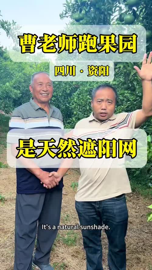 视频封面