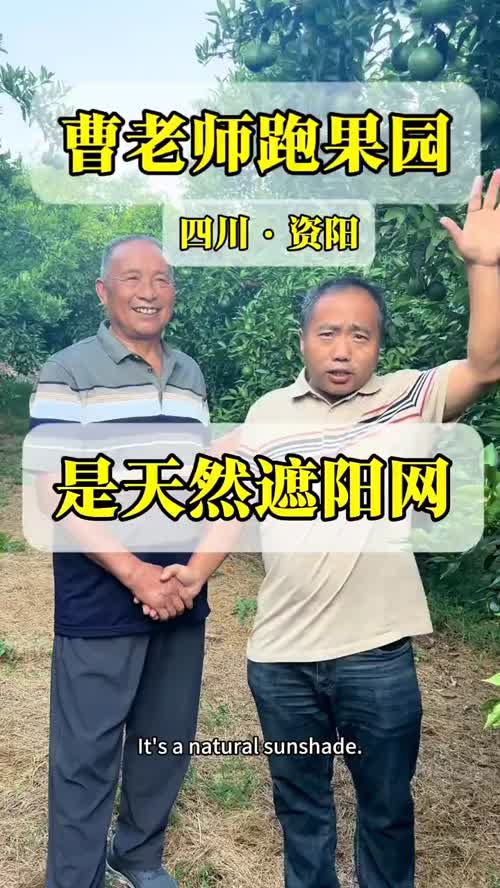 视频封面