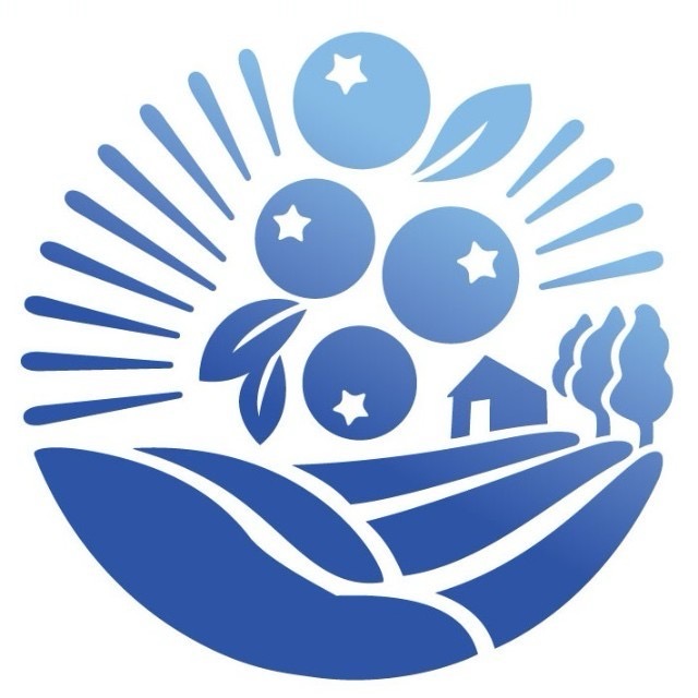 浙江蓝美技术股份有限公司