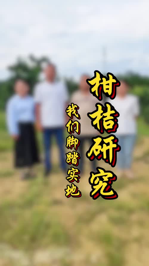 视频封面