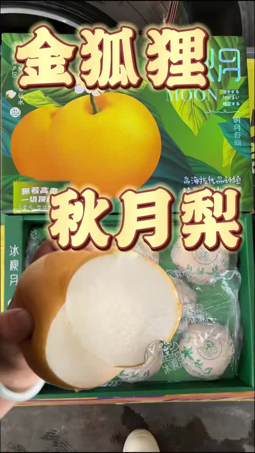 视频封面