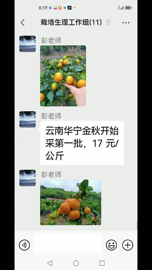 视频封面